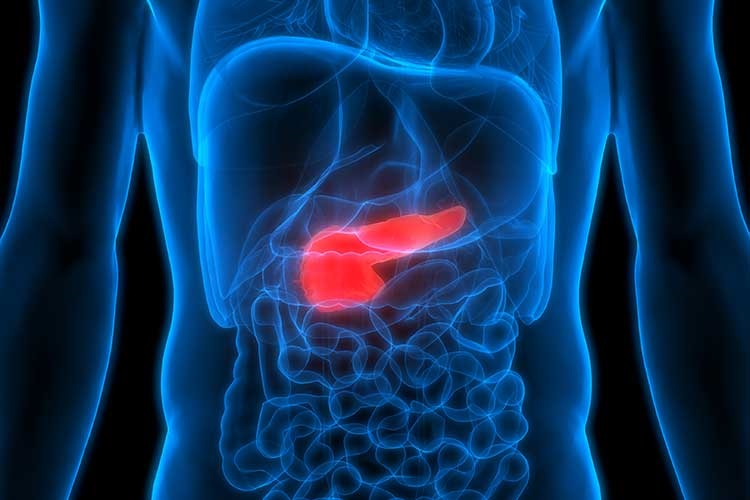 ../Image/pancreatic-cancer1