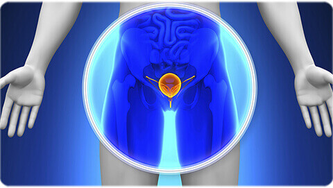 ../Image/prostate-cancer4.jpeg