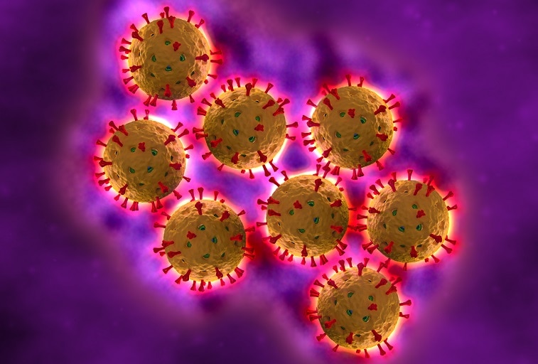 ../Image/rotavirus1.jpeg