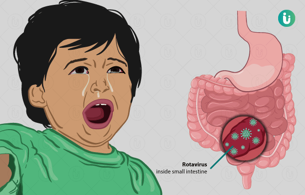../Image/rotavirus4.jpeg
