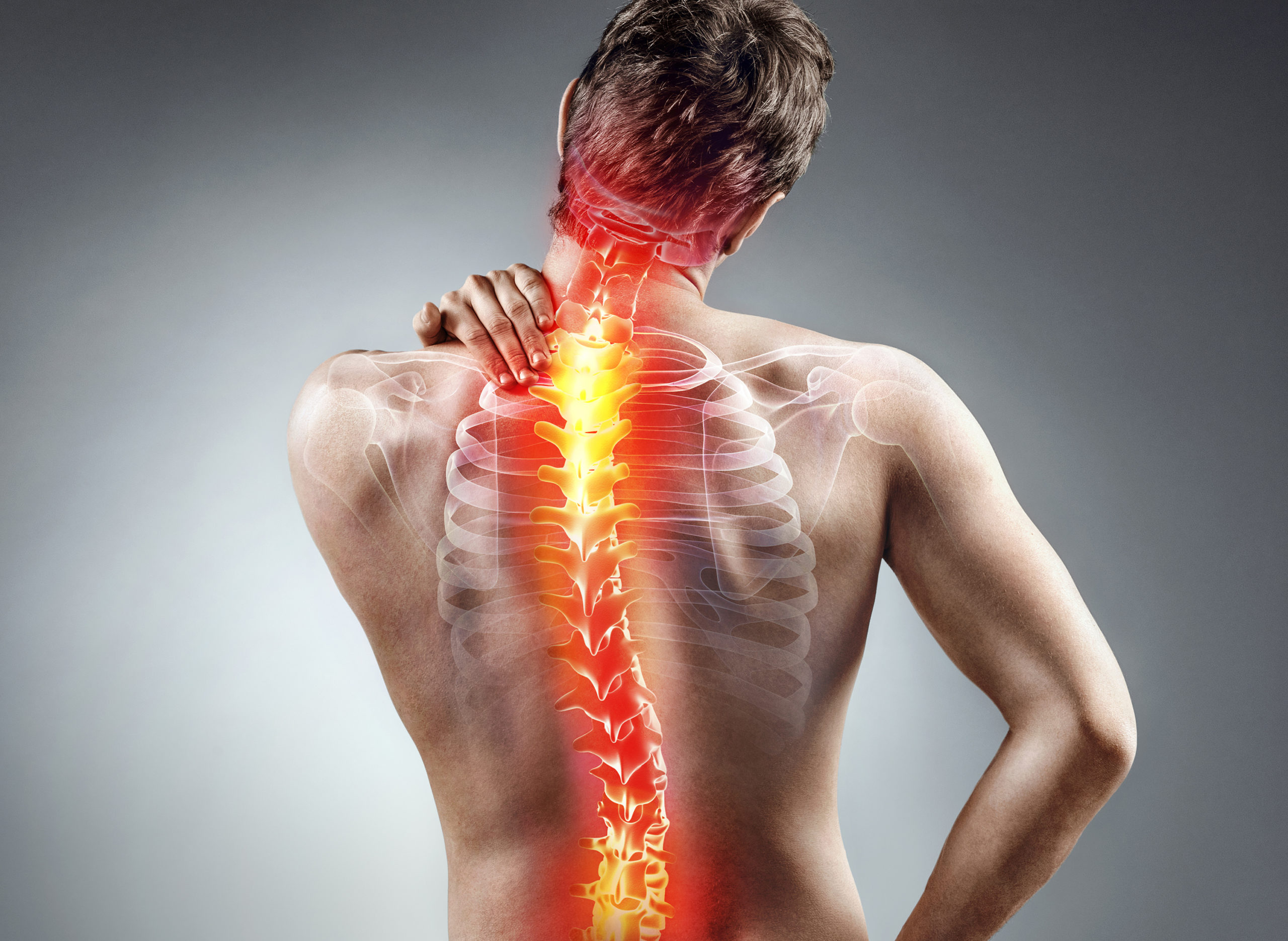 ../Image2/backpain1