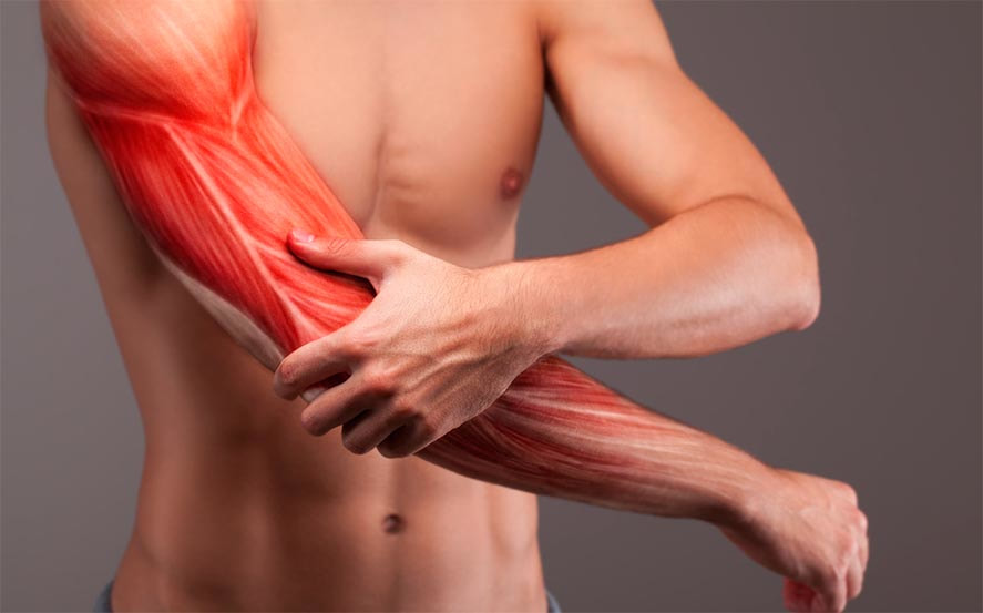 ../Image2/musclepain2.jpeg